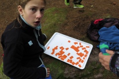 CelotаborovВ-hry-066