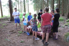 Rozd╪lenб-зivnostб-014