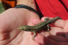 putovni.tabor_.2019_036