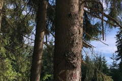 putovni.tabor_.2018_056