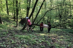 predtaborovy-putovni-vylet_2018_040