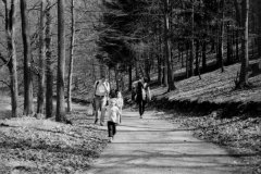 putovani-se-zviratky-26