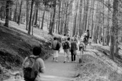 putovani-se-zviratky-28