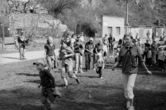 putovani-se-zviratky-31