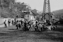 putovani-se-zviratky-32