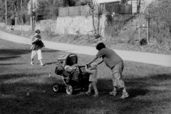 putovani-se-zviratky-33