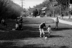 putovani-se-zviratky-34