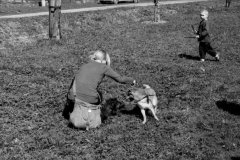 putovani-se-zviratky-39