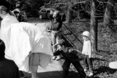 putovani-se-zviratky-40