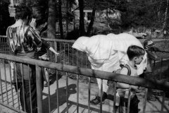 putovani-se-zviratky-41