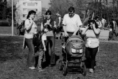 putovani-se-zviratky-44