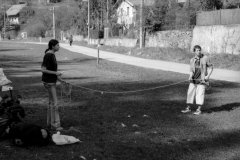 putovani-se-zviratky-45