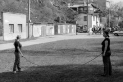 putovani-se-zviratky-46