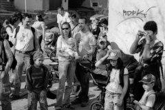 putovani-se-zviratky-48