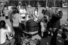 putovani-se-zviratky-53