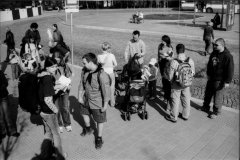 putovani-se-zviratky-54