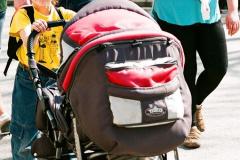 putovani-se-zviratky-58