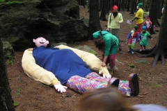 OLYMPUS DIGITAL CAMERA