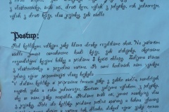 rodice-s-detmi-druhy-beh.2009_033