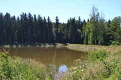 Rodiče s dětmi 2 2015