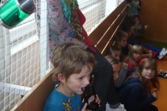 silena.laborator.2012_024