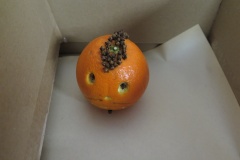 vanocni.dilna_.2016_057