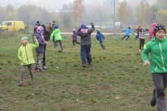 vestonicky.venous.2015_027