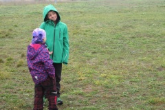 vestonicky.venous.2015_028