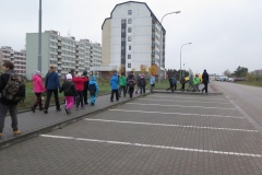 vestonicky.venous.2015_038