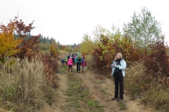 vestonicky.venous.2015_039