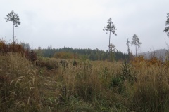 vestonicky.venous.2015_041