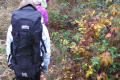 vestonicky.venous.2015_045