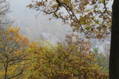 vestonicky.venous.2015_046