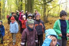 vestonicky.venous.2015_048