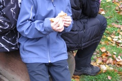 vestonicky.venous.2015_053