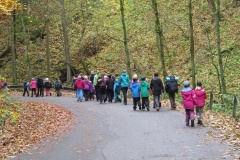 vestonicky.venous.2015_054