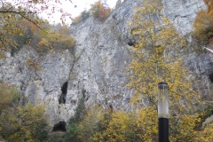 vestonicky.venous.2015_056