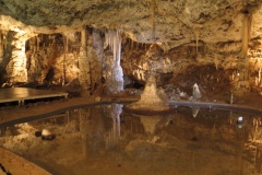 vestonicky.venous.2015_057