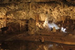 vestonicky.venous.2015_058