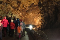 vestonicky.venous.2015_059