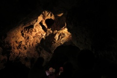 vestonicky.venous.2015_060