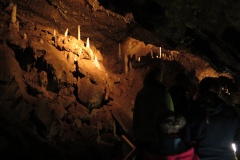 vestonicky.venous.2015_062