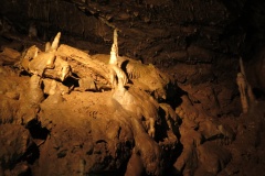 vestonicky.venous.2015_063