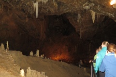 vestonicky.venous.2015_064