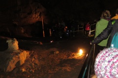 vestonicky.venous.2015_065