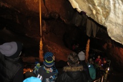 vestonicky.venous.2015_066