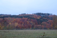 vestonicky.venous.2015_069