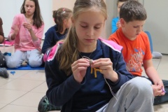 vestonicky.venous.2015_082