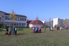 vestonicky.venous.2015_089