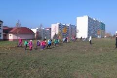 vestonicky.venous.2015_090